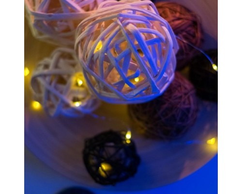 Гирлянда NEON-NIGHT РОСА 2м 20 LED теплые белые (2*CR2032 в комплекте) [303-006]