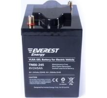 Аккумуляторная батарея EVEREST Energy TNE 6-245