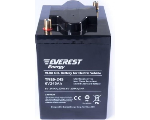 Аккумуляторная батарея EVEREST Energy TNE 6-245