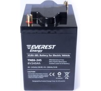 Аккумуляторная батарея EVEREST Energy TNE 6-245