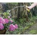 Шланг KARCHER 2.645-323.0 performance plus 3/4