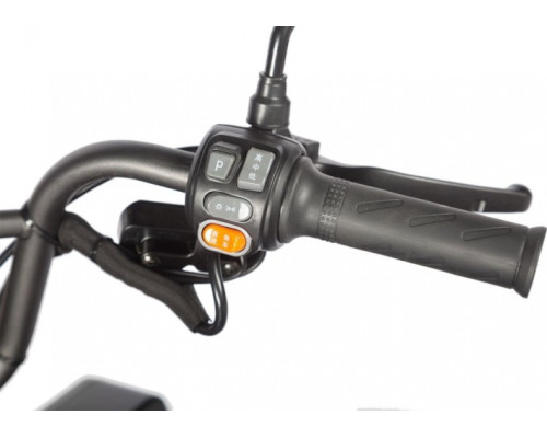 Трицикл WANSHIDA LC300 черный-3075 025552-3075 купить с доставкой и официальной гарантией