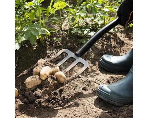 Вилы PLANTIC 24400-01 terra Вилы PLANTIC 24400-01 terra