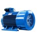 Электродвигатель 5Аи 355 MLA4 355/1500 IM 1001 [01.01.221999]