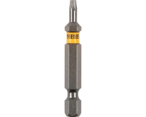 Набор бит DENZEL TORX 10х50 сталь s2, шестигранный профиль, 10 шт. [11667]