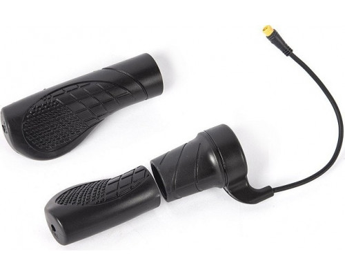 Мотор-колесо SKN 36V 350W LCD 26