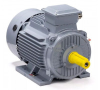 Электродвигатель ESQ PR 132 M2 GST-Б1-S12-IE2 IM 1081 11/3000 01.01.224022