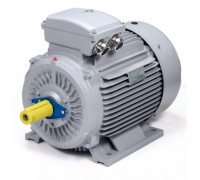 Электродвигатель ESQ PR 180 L6-SDN-Б1-S12-IE3 IM B3 15/1000 01.05.02.000176