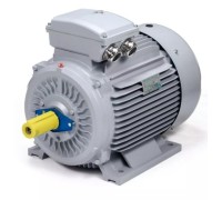 Электродвигатель ESQ PR 180 L4-SDN-Б1-S12-IE2 IM B3 22/1500 01.05.02.000057