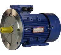 Электродвигатель 5Аи 100 L4 4/1500 IM 2081 01.01.213681