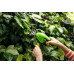 Ножницы-кусторез аккумуляторные GREENWORKS 7.2 V (1600107) [1600107]
