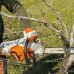 Пила цепная аккумуляторная STIHL MSA 220-40 C-BQ без АКБ и ЗУ [12512000126]