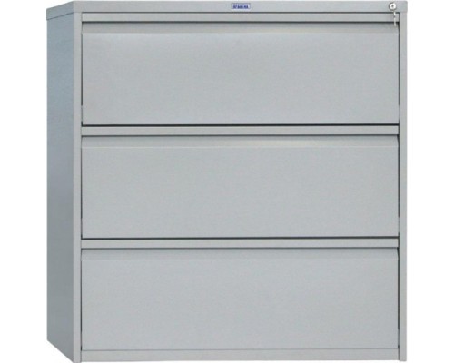 Картотека ПРАКТИК AMF 1091/3 [S20299130102]