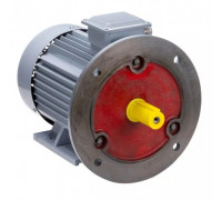 Электродвигатель ESQ PR 200 M4 GST-Б1-S12-IE2 IM 2001 37/1500 01.01.223796