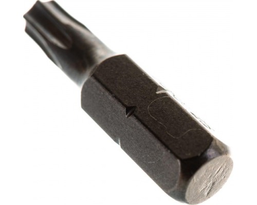 Бита для заворачивания D.BOR TORX 25, 25 мм (арт. d-t25-025-010) (10 шт.) [D06-DT25025010]