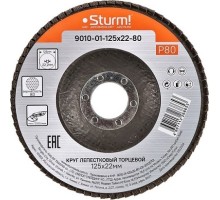 Круг лепестковый Sturm 9010-01-125x22-80 125х22, p80