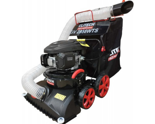Парковый пылесос ELITECH GV 2958WTS