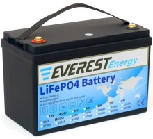 Аккумуляторная батарея EVEREST Energy LFP-24-50