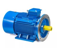 Электродвигатель 5Аи 200 М6 22/1000 IM 2001 01.01.213656