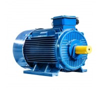 Электродвигатель 5Аи 315 S6 110/1000 IM 1001 01.01.213483