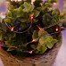 Гирлянда NEON-NIGHT РОСА 2м, 20 LED красные (2*CR2032 в комплекте) [303-002]