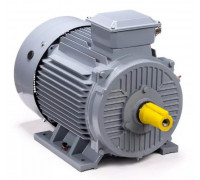 Электродвигатель ESQ PR 180 M4 GST-Б1-S12-IE2 IM 1001 30/1500 01.01.223786