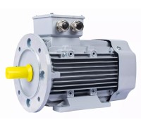 Электродвигатель ESQ PR 80 В6 GST-Б1-S12-IE2 IM 2081 1.1/1000 01.01.224034