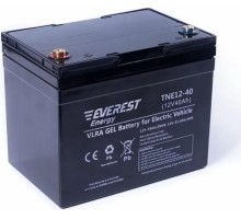 Аккумуляторная батарея EVEREST Energy TNE 12-40