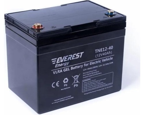 Аккумуляторная батарея EVEREST Energy TNE 12-40