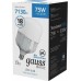 Лампа светодиодная GAUSS T100 S2 basic t140 ac180-240v 75w 7130lm 6500k e40 [11734382]