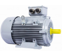 Электродвигатель ESQ PR 100 LB4-SDN-Б1-S12-IE3 IM B3 3/1500 01.05.02.000129