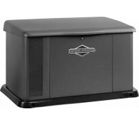 Газовая электростанция BRIGGS&STRATTON G140 40489