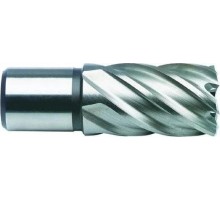 Сверло по металлу корончатое D.BOR (3/4''), HSS 15х55 мм с хв. weldon 19 мм D-CD-HSS-055-015-W