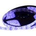 Лента светодиодная LAMPER  141-493 12B, SMD5050, 14,4Bт/м, 60 LED/м синий, 10мм/5м, I