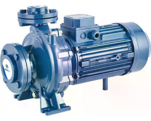 Моноблочный насос PURITY PSTC 50-160/75 100588893
