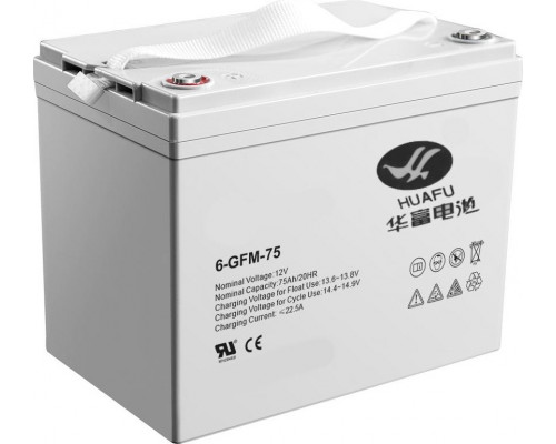 Аккумулятор TOR IWS/PWS/WS 12V 75Ah гелевый (Gel battery) для штабелеров 1002953