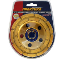 Алмазная чашка ПРАКТИКА двухрядная (бетон) 125х22.23 030-948 030-948