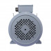 Электродвигатель ESQ PR 200 L4 GST-Б1-S12-IE2 IM 2001 45/1500