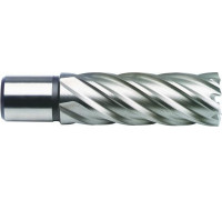 Сверло по металлу корончатое D.BOR (3/4''), HSS-Co, 31,0*55/70 мм с хв. weldon 19 мм W-041-474310202D