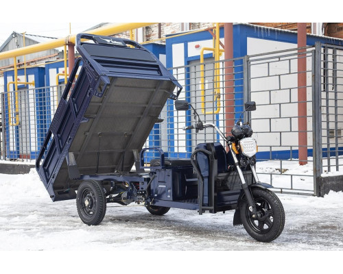 Трицикл грузовой RUTRIKE D4 1800 60V1500W Темно-серый 2495 023293-2495
