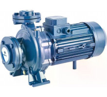 Моноблочный насос PURITY PSTC 40-125/11 100589375