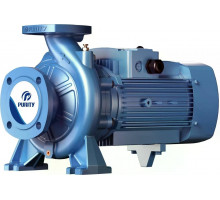 Моноблочный насос PURITY PSTG 100-250/550 100601429