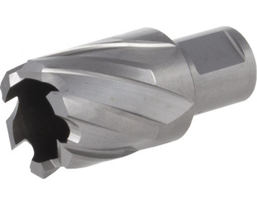 Сверло по металлу корончатое DIAM HSS 28x30 Extra Line 320298
