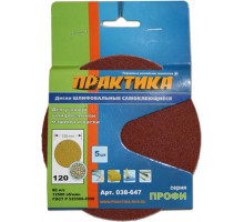 Круг шлифовальный на липучке ПРАКТИКА 125 мм без отв. Р 120 038-647 038-647