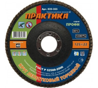 Круг лепестковый ПРАКТИКА 125х22.2 мм P 40 032-355 032-355