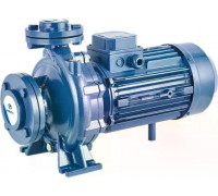 Моноблочный насос PURITY PSTC 40-250/110 100588143