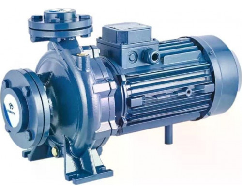 Моноблочный насос PURITY PSTC 40-200/75 100589376