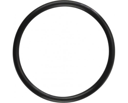 Кольцо уплотнительное гидроцилиндра SKIPPER для Yamaha 3-50/F2-350 SK93210-48214