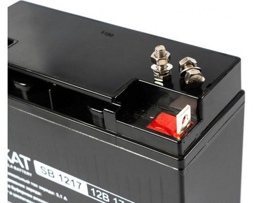 Аккумулятор SKAT SB 1217 2536