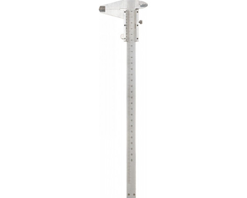 Штангенциркуль REXANT ШЦ-250 мм 12-9102